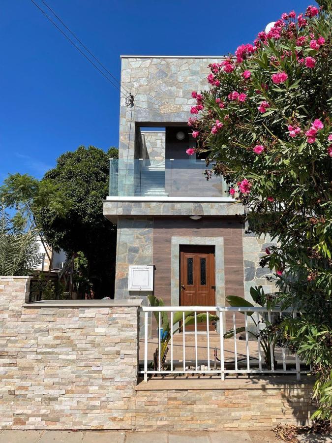 Mosaic Villa By The Sea Протарас Екстер'єр фото